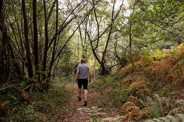istock Man walking on a path in the woods 2232127066