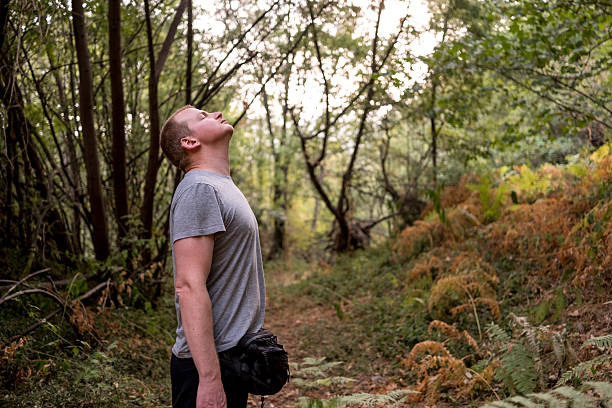 istock Hiker breathing fresh air in a lush forest 2232127075
