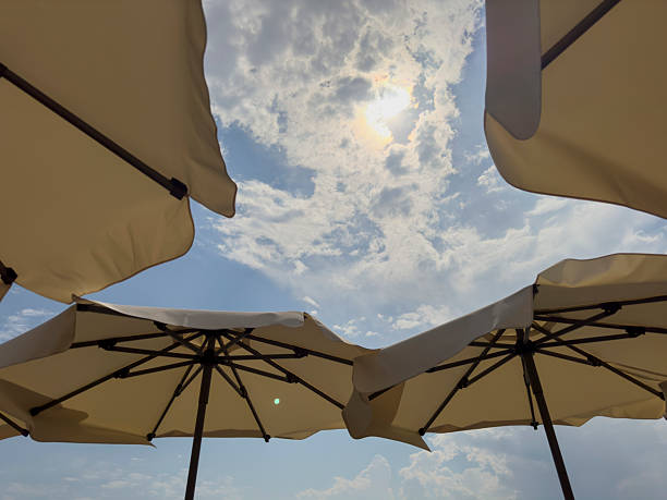 seaside umbrellas on sunny day