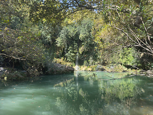 istock peaceful river in woodland 2232131206