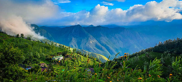 Breathtaking mountain landscape at Kolukkumalai, india featuring dramatic peaks, lush greenery, and rolling mist under a vibrant sky. Perfect for themes of nature, travel, adventure, and scenic beauty