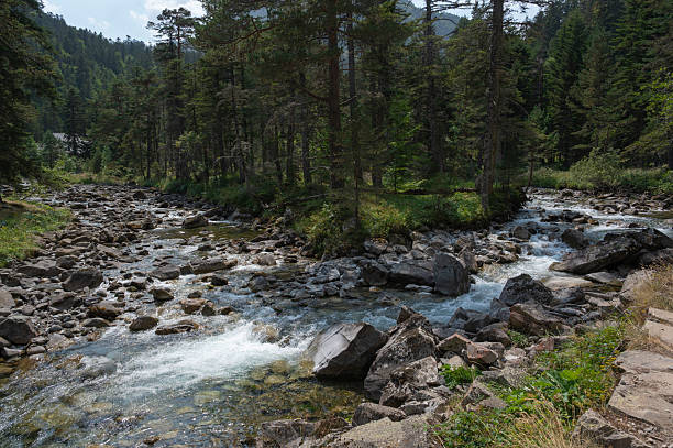 A picturesque view captures a serene stream winding through rocky terrain, surrounded by lush green trees and towering mountains under a clear blue sky.