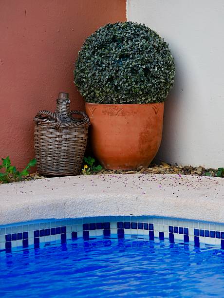 istock A flower pot with a decorative jug. 2232134710