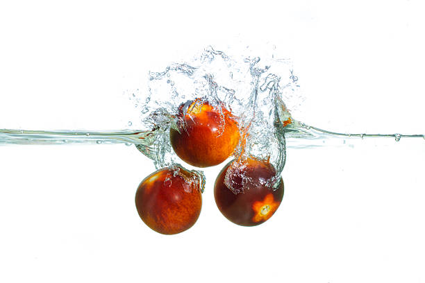 Dynamic Splash of Red and Black Tomatoes in Clear Water Isolated on White Background