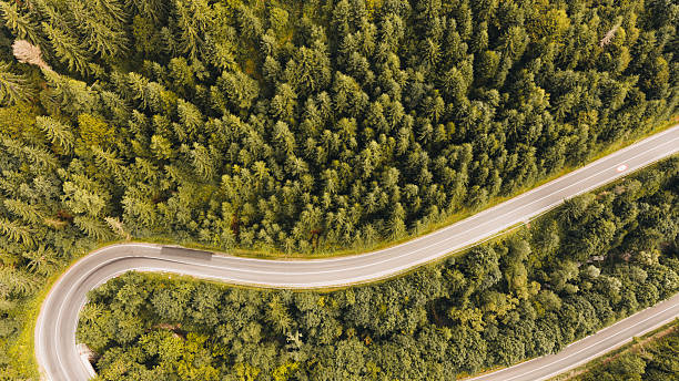 istock Winding road through lush green forest aerial view 2232139113