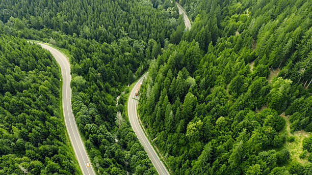 istock Winding road cutting through lush green forest landscape 2232139114