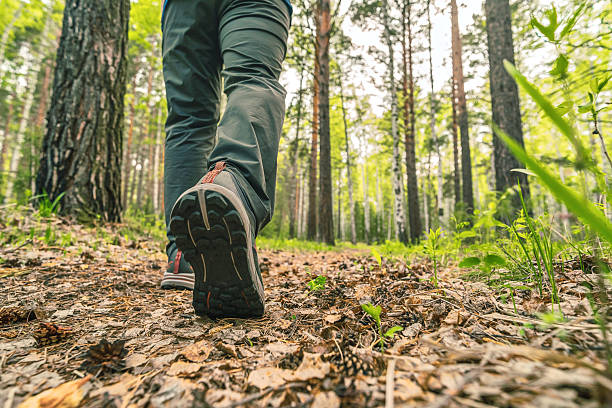istock one men hiking in the forest 2232139783