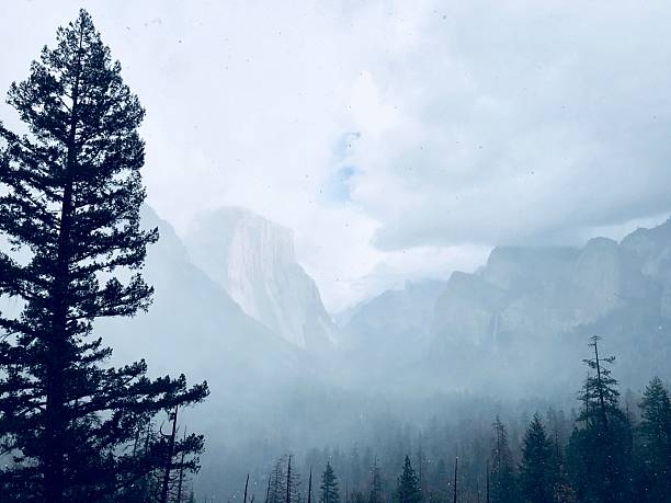 Scenic view of Yosemite Valley in California with El Capitan partially covered by mist and low clouds, surrounded by tall pine trees and forest. Atmospheric landscape nature photography.
