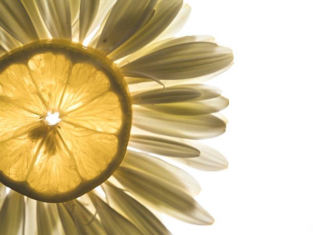 A large pile of fresh lemons background