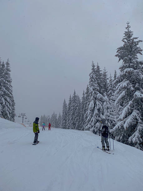 istock Skiers on Snowy Mountain Slope 2232149513