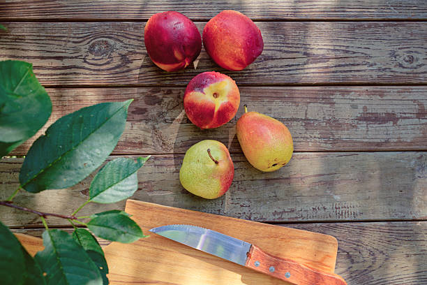 Colorful nectarines and pears sit on a weathered wooden table, surrounded by vibrant greenery. A shiny knife rests nearby, inviting a fresh summer snack on a sunny day. Copy space for text - healthy food, summer fruit