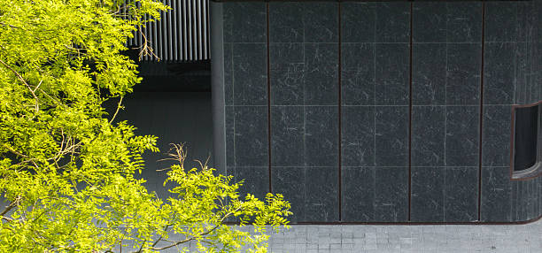istock Modern apartment building with black facade, vibrant green trees in foreground, representing the integration of architecture and sustainable urban greenery. 2232154166