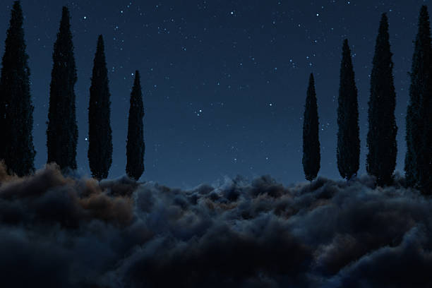 3D rendering of cypress tree avenue over night clouds. Artist-Created, not AI-generated