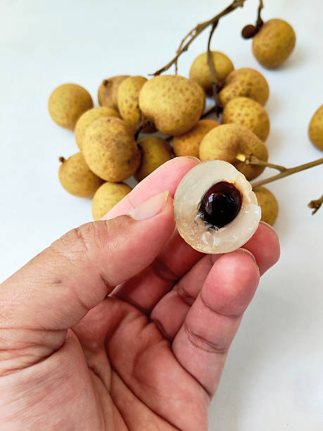 istock Ripe Longan Fruit, a Healthy and Exotic Snack 2232154851
