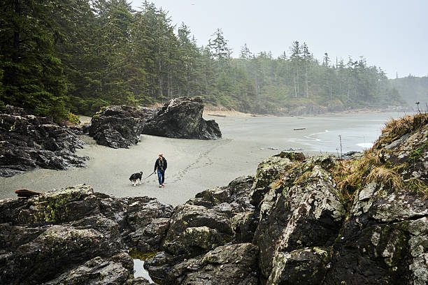 Man walking with a dog on the beach next to rocks and trees on an overcast day creating a scenic landscape