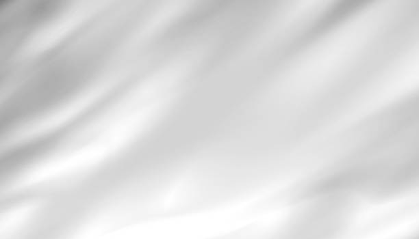 istock Leaves shadow overlay, isolated Branches leaves,White gray abstract background with smooth gradient and soft flowing shadows.Concept minimal backdrop for multiply on product mockup,clean studio design 2232161770
