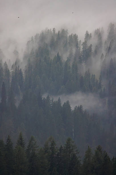 istock The mountains shrouded in clouds seen from San Martino di Castrozza - Italy 2232162000