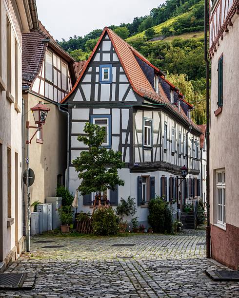 Charming half-timbered houses in a quaint cobblestone street in a German village, surrounded by lush greenery.