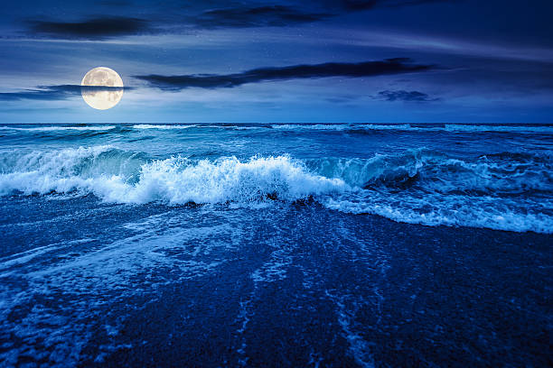 istock sea tide before storm at night 2232167720