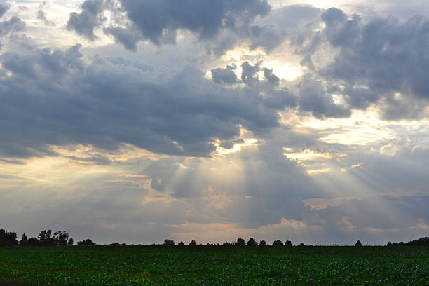 Overcast Cloud & sky from above