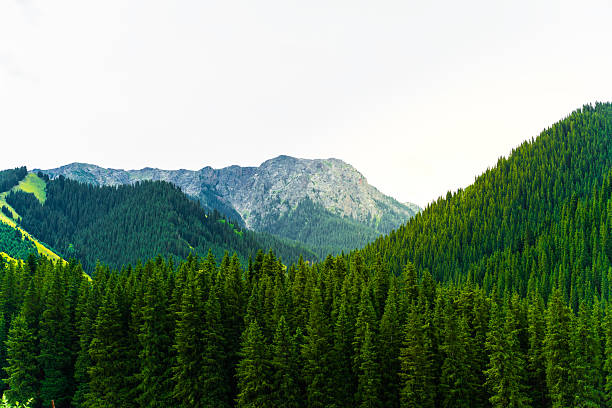 istock Mountains, rivers, grasslands and continuous ranges of mountains 2232170169