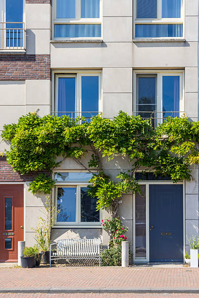 Urban greening in Rotterdam The Netherlands