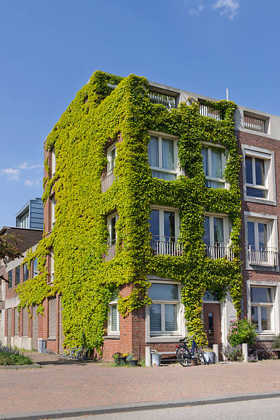 istock Urban greening in Rotterdam The Netherlands 2232173830