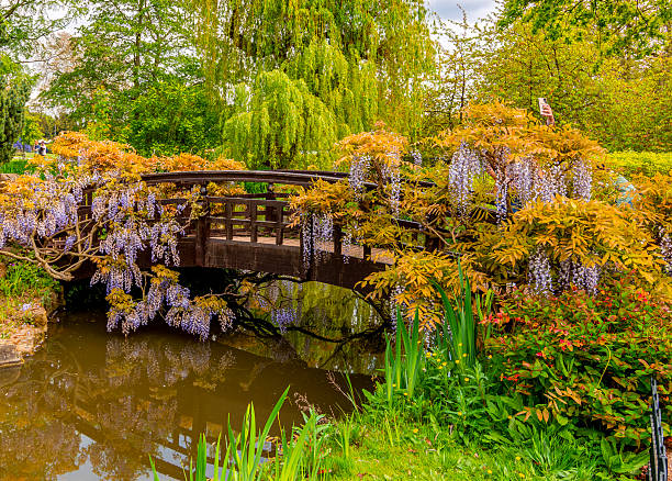 istock Small bridge in Regent's park landscape in spring, London, UK 2232177914