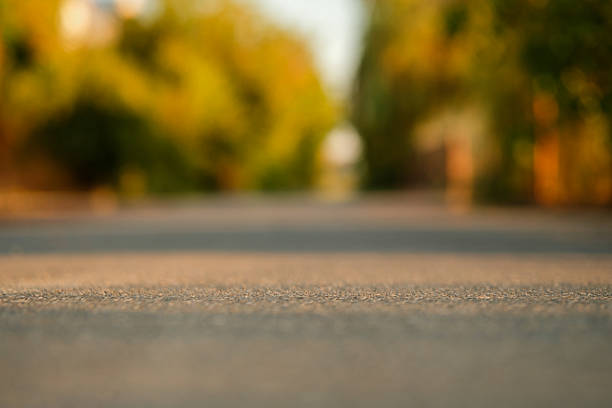 A tranquil road stretches through a wooded area during sunset. The warm light casts gentle shadows, highlighting the asphalt and surrounding greenery, evoking a sense of calm and solitude.