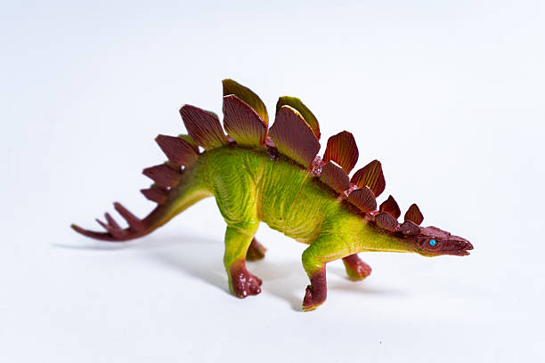 istock Stegosaurus dinosaur toy walking on white background 2232182273