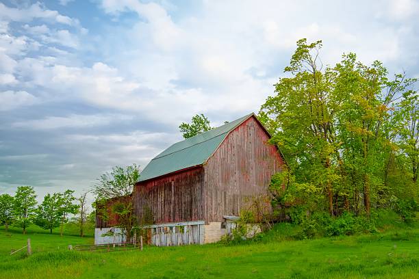 Old weathered barn- near Petoskey, Michigan