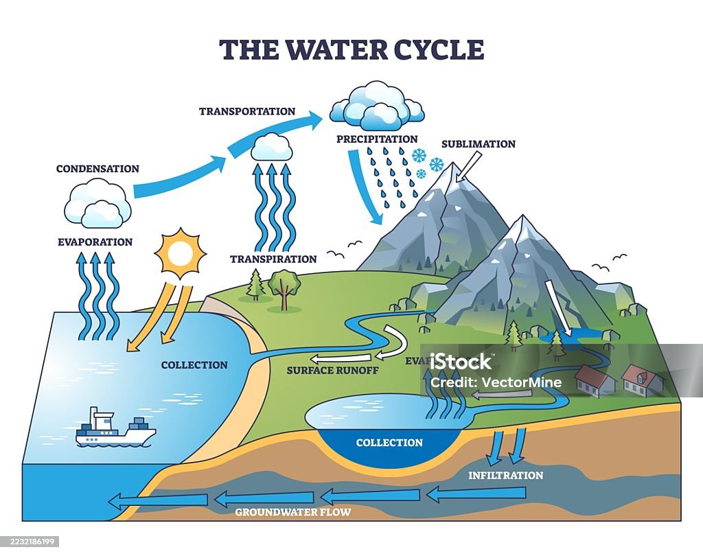 Comprehensive Water Cycle The Water Cycle Shows Evaporation Condensation And Precipitation Using ...
