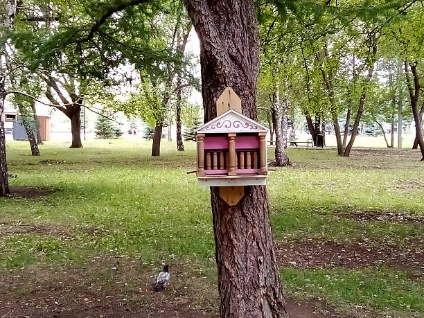 istock Bird feeder and pigeon in the park 2232186797
