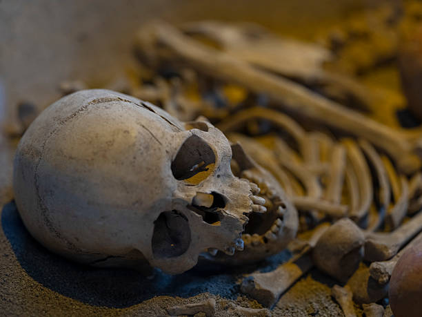 human skeleton found in Roman-era cemetery