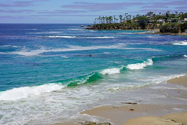 Scenic view of Laguna Beach, California with turquoise waves and palm trees under a blue sky.