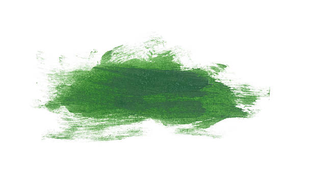 istock Green watercolor blush isolated on white background. 2232193190