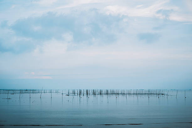 istock Ocean scenery, fishing and aquaculture 2232194005