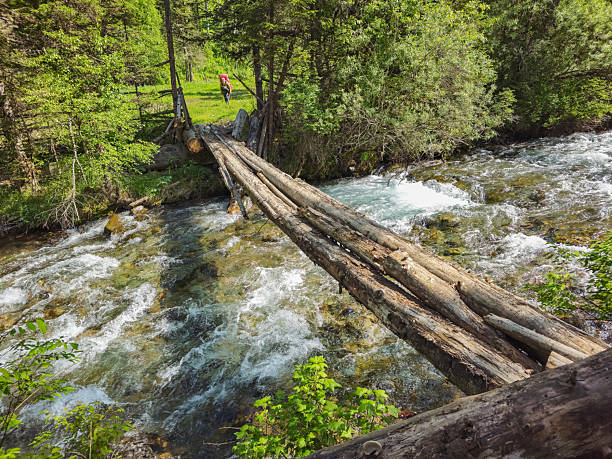 istock Bridge of logs for crossing a fast mountain river 2232196209
