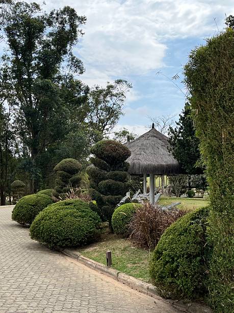istock Garden with shaped trees and paved way 2232196277