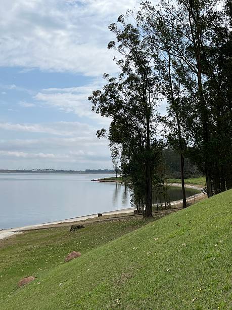 istock Hill covered by green grass along lake side 2232196300