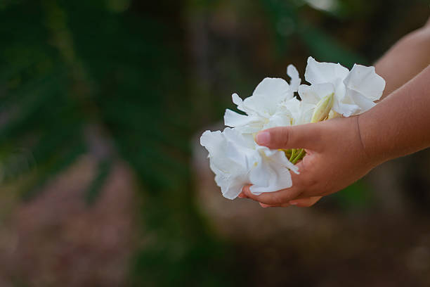 Small child holding a bouquet of delicate white flowers in their open hands, with a blurred green background. Lifestyle concept