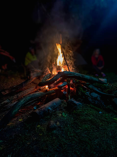 istock Vivid smoldered firewoods burned in fire 2232197469