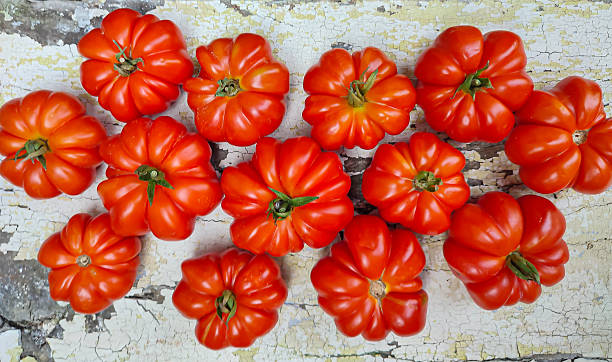 Vibrant red heirloom tomatoes are artistically arranged on a rustic wooden surface, highlighting their unique shapes and textures for culinary creativity