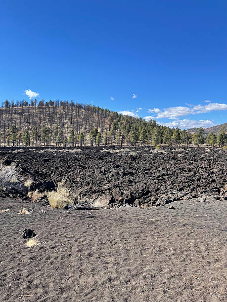 istock Sunset Crater Volcano National Monument, Arizona 2232202195