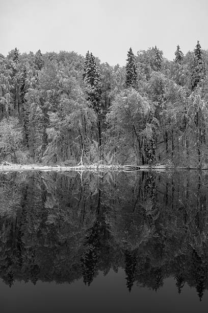 istock Reflection of snowy trees in the cold season 2232205861
