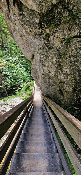 istock stairs hiking way in Alps 2232207299