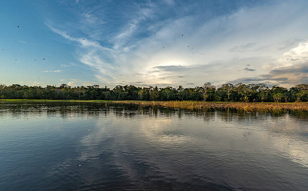 Dramatic sunset over the beautiful untamed vast Amazon River and the Amazon Rainforest in the Tamshiyacu Tahuayo Regional Conservation Area near Iquitos, Peru in South America.