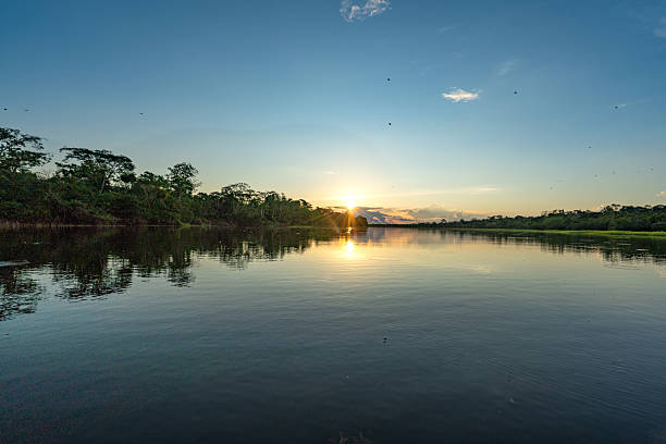 istock Dramatic Sunset Over the Beautiful Untamed Vast Amazon River and the Amazon Rainforest in the Tamshiyacu Tahuayo Regional Conservation Area Near Iquitos, Peru in South America. 2232214541