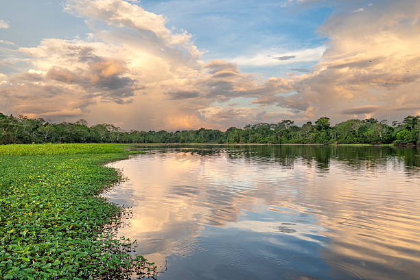istock Dramatic Sunset Over the Beautiful Untamed Vast Amazon River and the Amazon Rainforest in the Tamshiyacu Tahuayo Regional Conservation Area Near Iquitos, Peru in South America. 2232214550