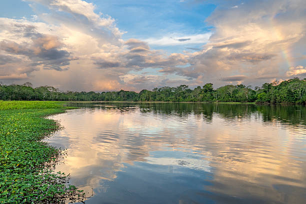 istock Dramatic Sunset Over the Beautiful Untamed Vast Amazon River and the Amazon Rainforest in the Tamshiyacu Tahuayo Regional Conservation Area Near Iquitos, Peru in South America. 2232214560